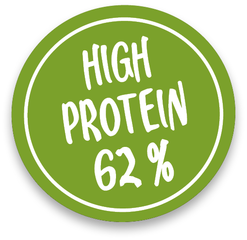 high-protein-62